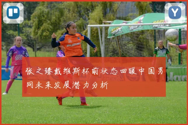 张之臻戴维斯杯前状态回暖中国男网未来发展潜力分析